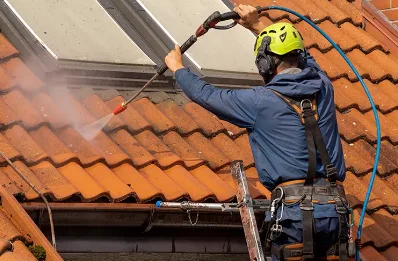 Démoussage et hydrofuge de toiture à Chasselas